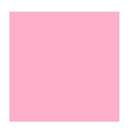 Craftreat Color Card Stock - Rose Pink C T C C S022