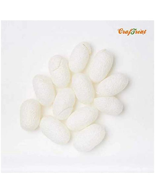 CrafTreat White Organic Silk Worm Cocoon 12 Inchespcs