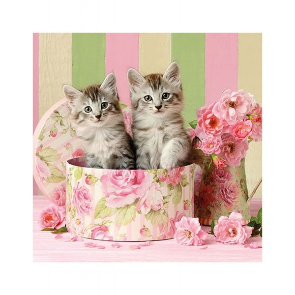 Decoupage Napkin Cats In Box 13312890