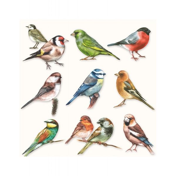 Decoupage Napkin Collection Of Birds 13310165