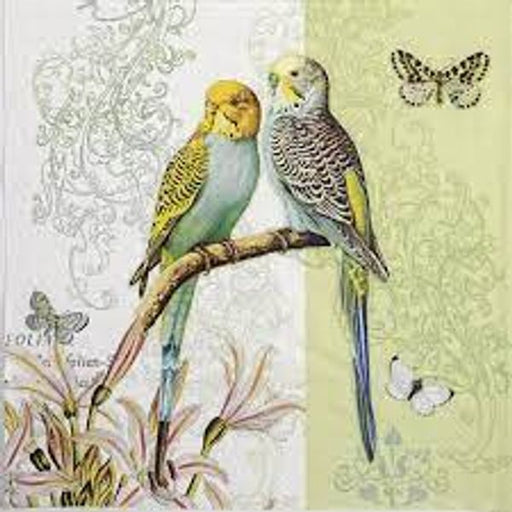 Decoupage-napkin-budgies-green-13314400.jpg