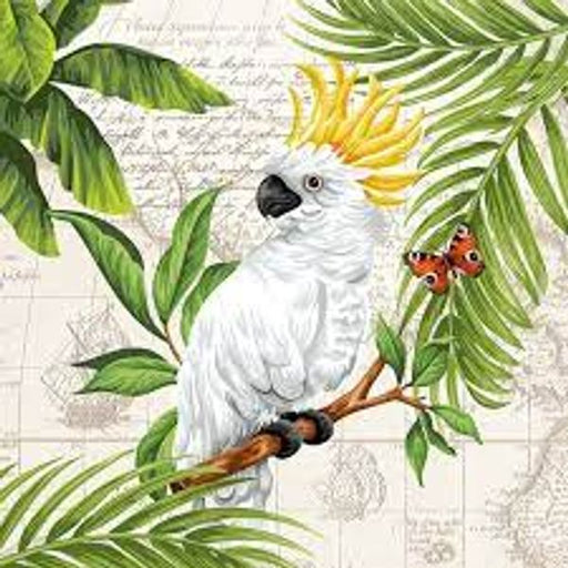 Decoupage-napkin-cockatoo-13315070.jpg