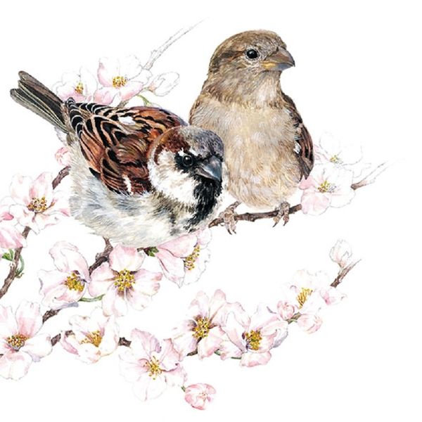 Decoupage-napkin-sparrows-blossom-13313895.jpg