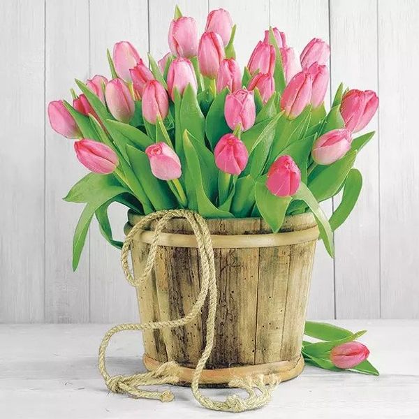Decoupage Napkin -Tulips In Bucket 13309950